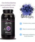Colágeno Hidrolizado Mas Biotina Vsouls Blueberry 600grs