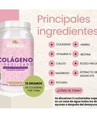 Colágeno Hidrolizado A&g Persea Sabor Arándano Bote 1.2kg