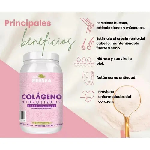 Colágeno Hidrolizado A&g Persea Sabor Arándano Bote 1.2kg