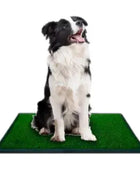 Tapete Sanitario Perro Indoor Puppy Grande Portátil